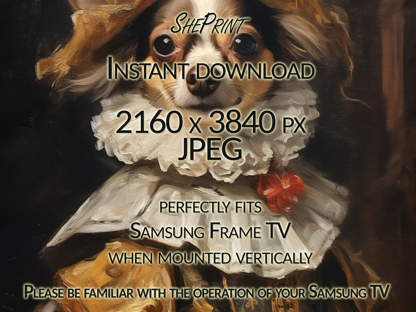 Vertical Frame TV Art | Chocolate White Chihuahua Dressed Up Like A King close up view