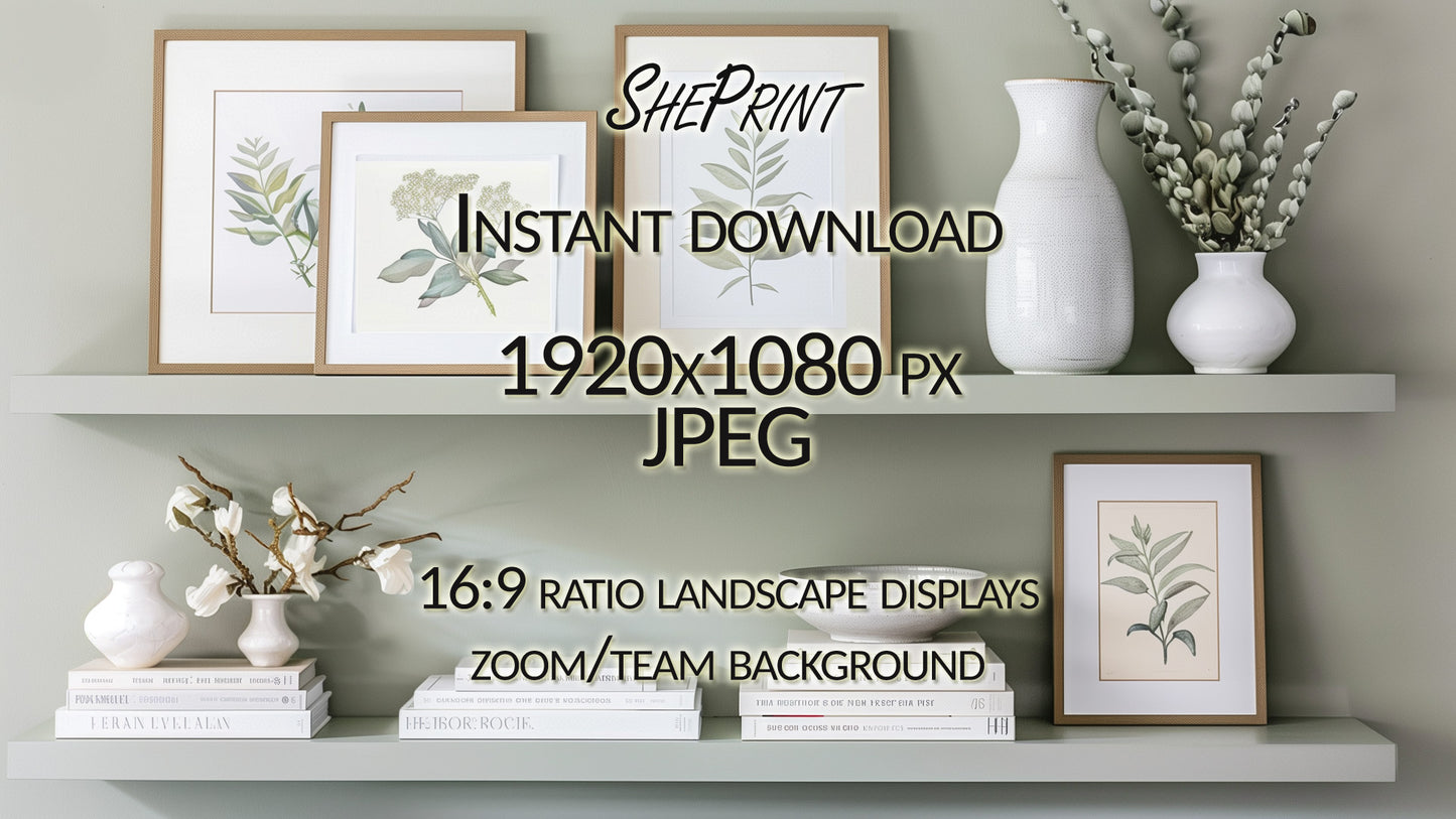 Zoom Background, Elegant Neutral Gray Sage Shelves size info