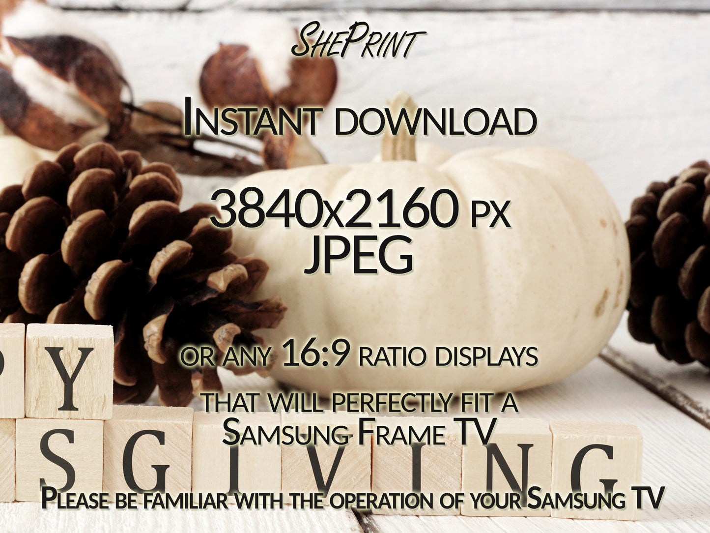 White Pumpkins and Pine Cones Samsung Frame TV Art | Thanksgiving TV Art | Happy Thanksgiving Modern Farmhouse Art | Digital TV Art | Instant Download