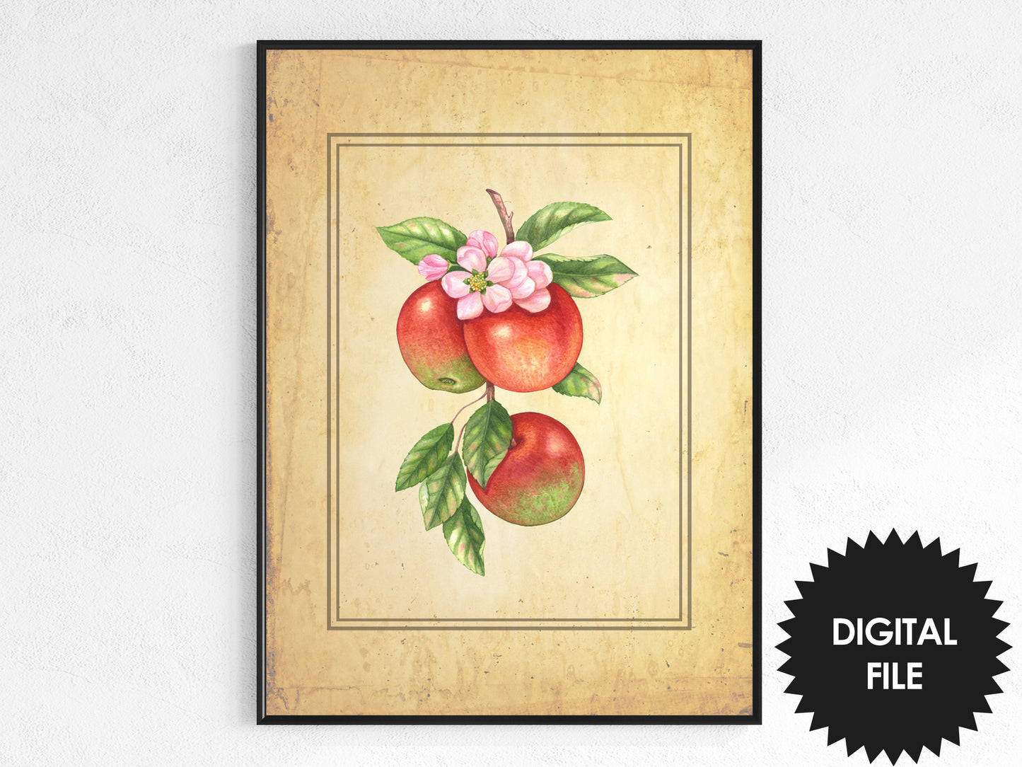 Vintage Fruit Prints Set of 6, Kitchen Wall Art, Digital Art, Download Now, Print at Home, A4 Size - 8.3 x 11.7 inches