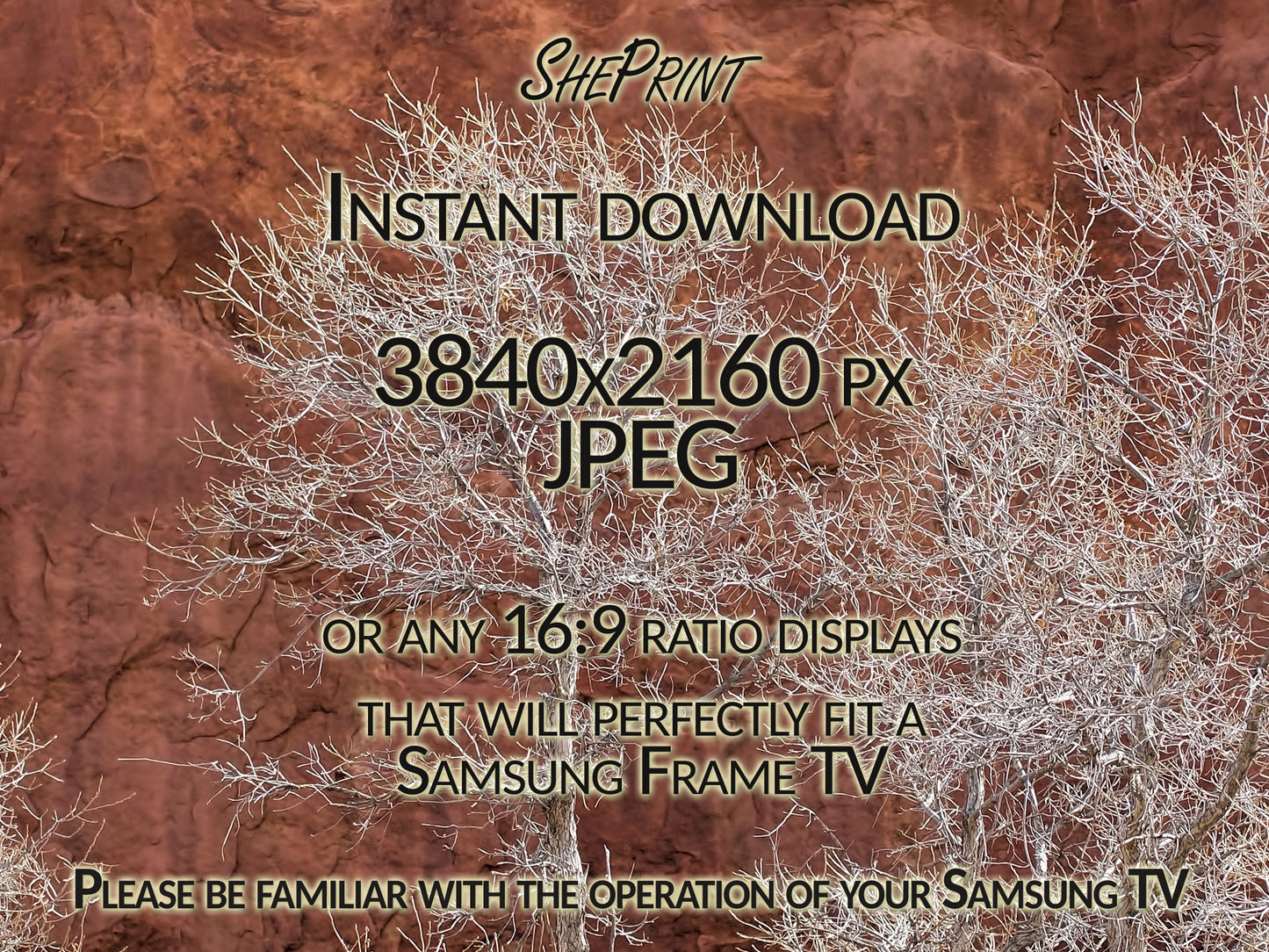 Winter Trees Samsung Frame TV Art | Frozen Trees Winter Scene Art | Red Rocks | Digital TV Art | Instant Download