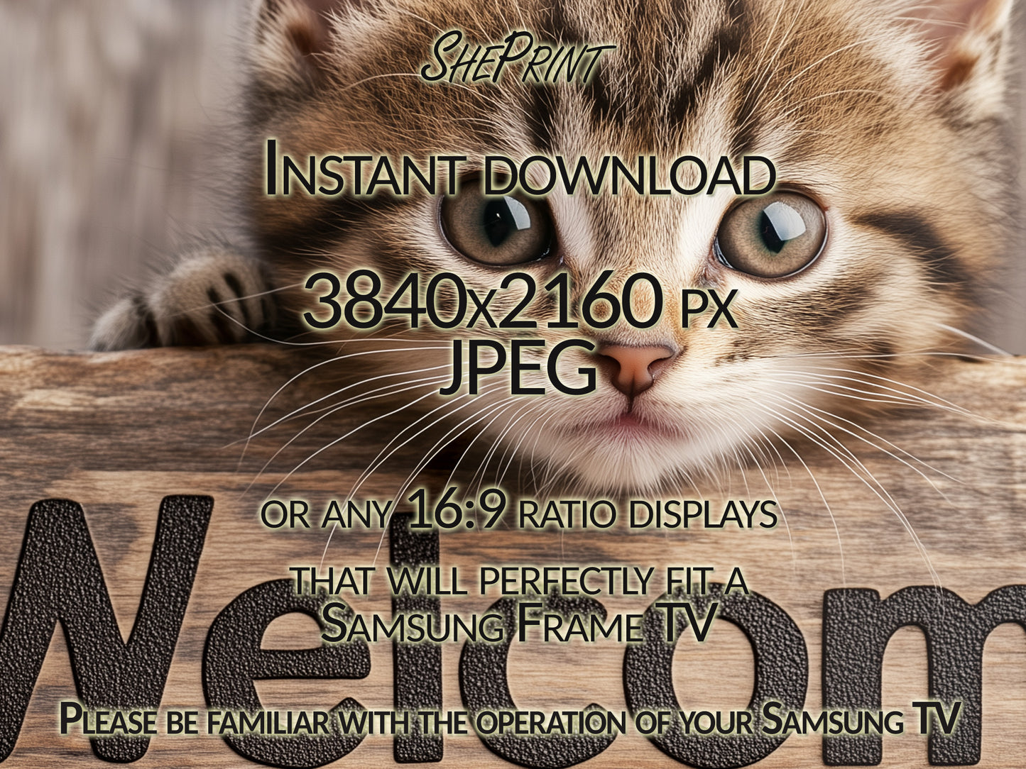 Samsung Frame TV Art, Cat With Welcome Sign For Pet Friendly Rentals, Guests or New Tenants Greeting close up view