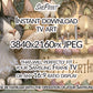 Cat Birthday TV Backdrop Funny Cats Party Decor Digital Download for Pet Lovers Celebration, close up view