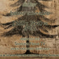 Vertical Frame TV Art, Christmas Tree Vintage Drawing close up view