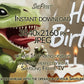 Frame TV Art For Kids | Happy Birthday | Dinosaur Themed Birthday Party close up look