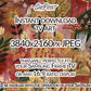 Fall TV Art Maximalism | 3840x2160 px JPEG | Instant Digital Download close up look