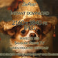 Vertical Frame TV Art | Gold & White Chihuahua Dressed Up Like A King close up view