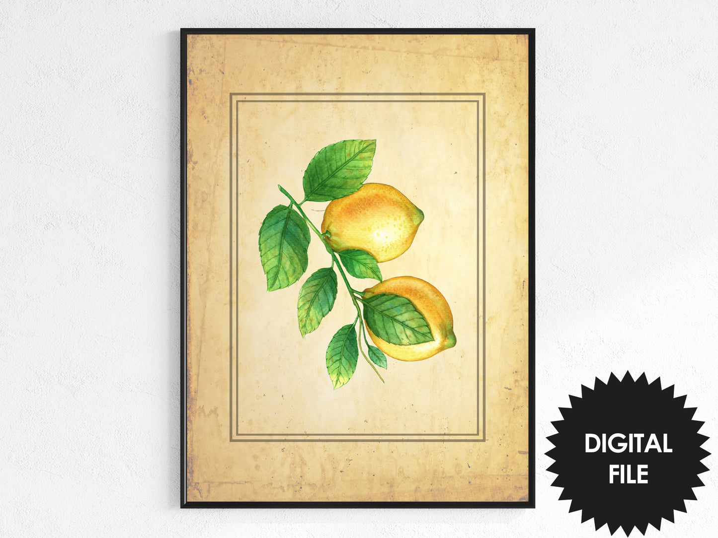 Vintage Fruit Prints Set of 6, Kitchen Wall Art, Digital Art, Download Now, Print at Home, A4 Size - 8.3 x 11.7 inches