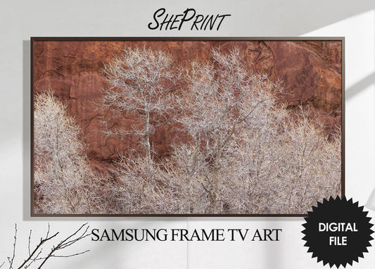 Winter Trees Samsung Frame TV Art | Frozen Trees Winter Scene Art | Red Rocks | Digital TV Art | Instant Download