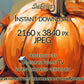 Samsung Vertical Frame TV Art, Two Orange Pumpkins Autumn Thanksgiving Digital Art close up view